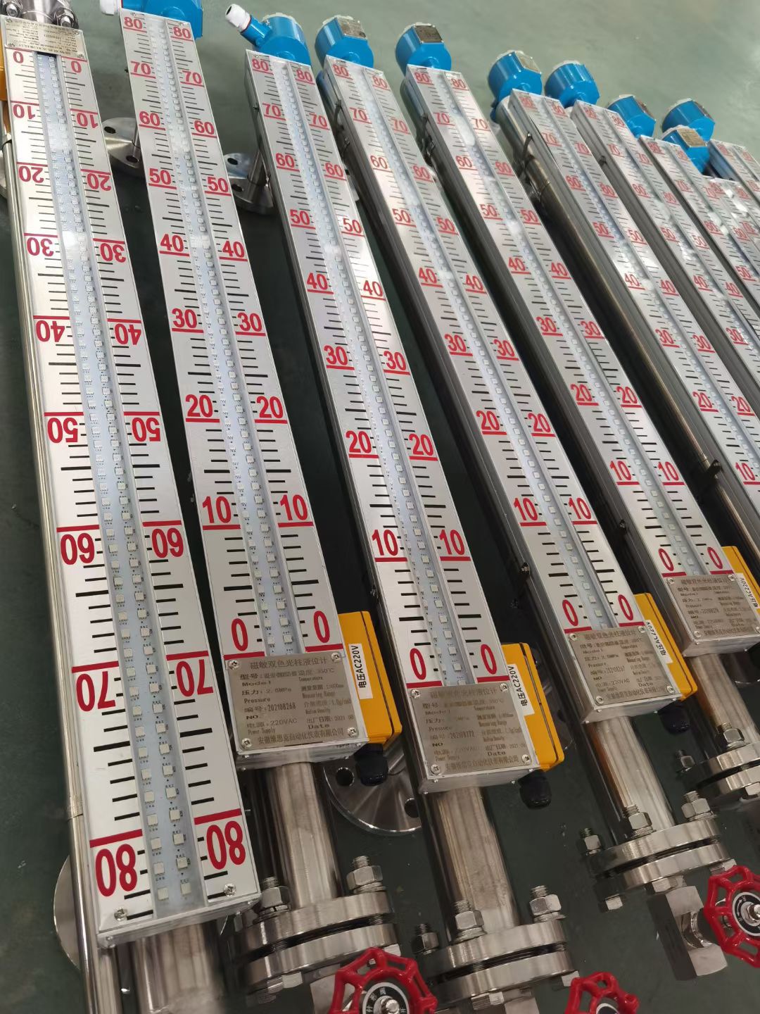 LED雙色液位計(jì)